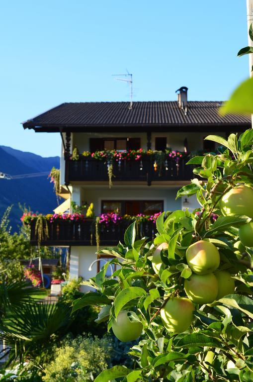 Zimmervermietung Groeberhof Scena Esterno foto